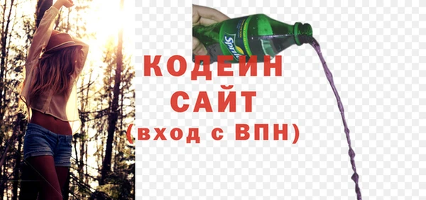 спиды Вяземский