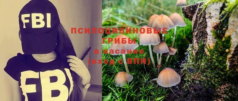 Псилоцибиновые грибы MAGIC MUSHROOMS  Подольск 